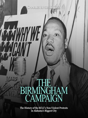 cover image of The Birmingham Campaign